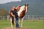 logo-Anke Rath-AR Horsemans Handshake