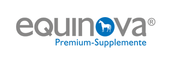 Logo Equinova