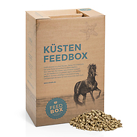 Bericht-Illustration