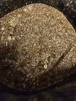 Bericht-Illustration