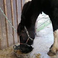 Bericht-Illustration