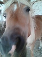 Bericht-Illustration