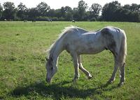 Bericht-Illustration