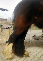 Bericht-Illustration