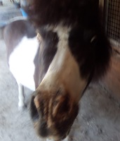 Bericht-Illustration