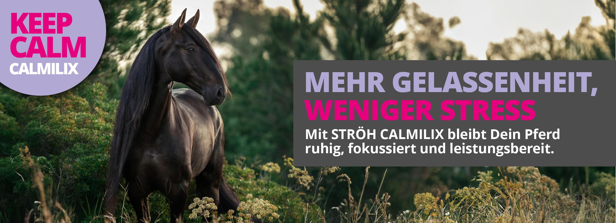 VEYA – Revolutionäre Pferdefütterung nach den 5 Elementen der TCM