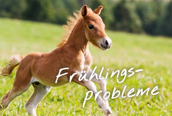 Frühling - Tipp im Problemfall