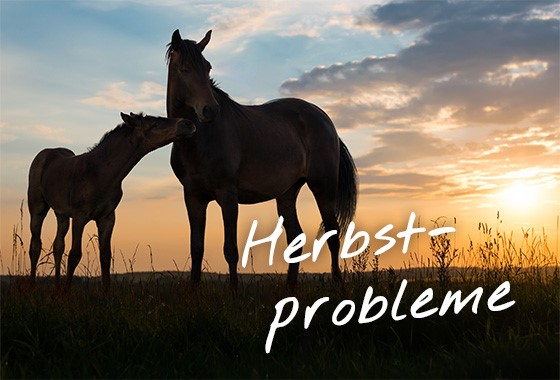 Herbst - Tipp im Problemfall
