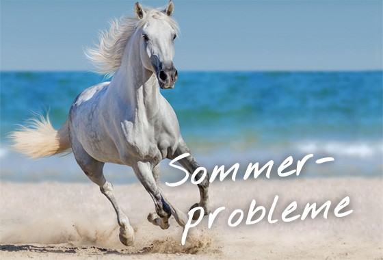 Sommer - Tipp im Problemfall