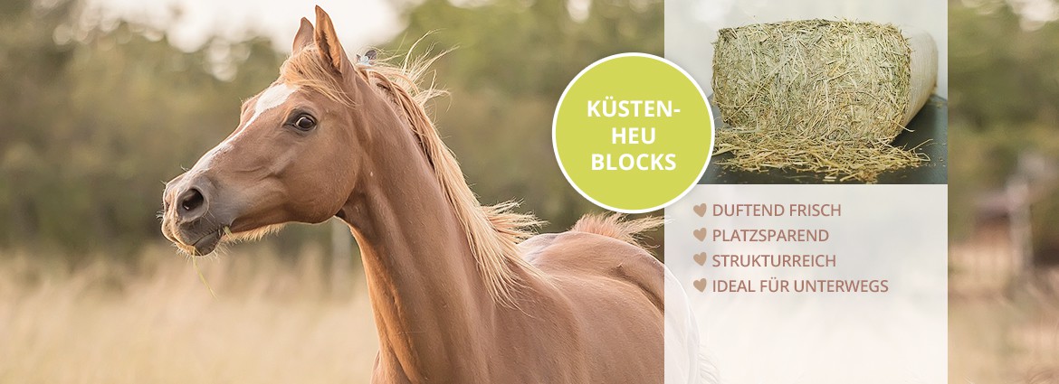 Blocks - Heu in Neu