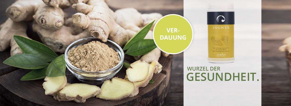 So gesund...