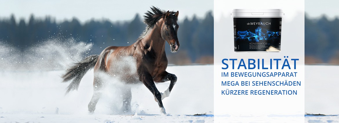 Macht stabil